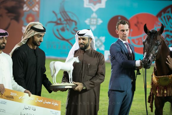   بشير البشير (جلاردو جي x نستيا او اس) مربط البشير