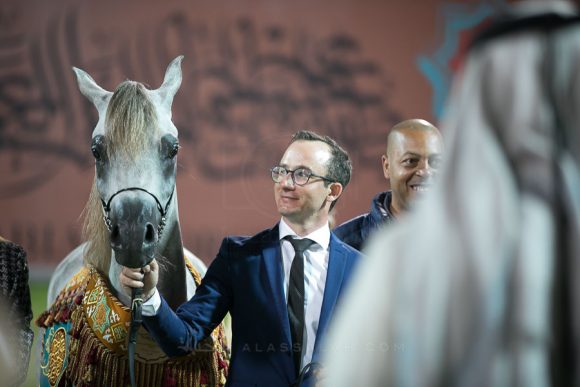    سداد البداير (أ س سراب x دي ال ماريل) مربط البداير