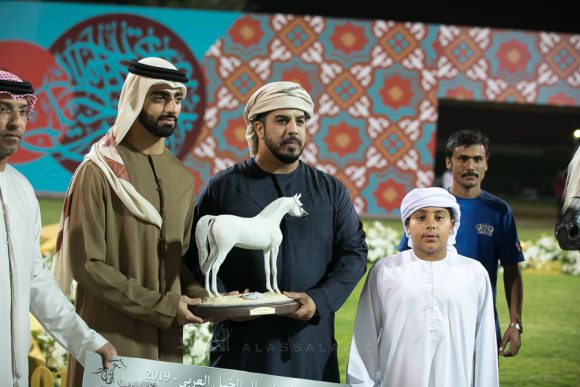    دندي أم بي أي (شنجهاي أي أي  X فلوجة ام بي اي ) مربط جاسم محمد النقبي.