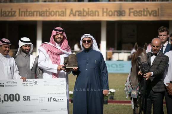 دارين السيد (اليكاسندر x داشا ارابكو) مربط السيد– السعودية.
