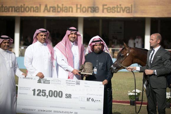  شاهين ايه ام (ايدن سي x ار دي ديانا) مربط فرزان – السعودية.
