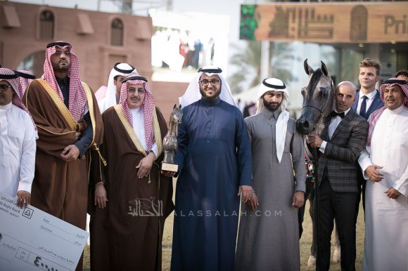  ماهر السيد (الكساندر x ميرا السيد) مربط السيد – السعودية.
