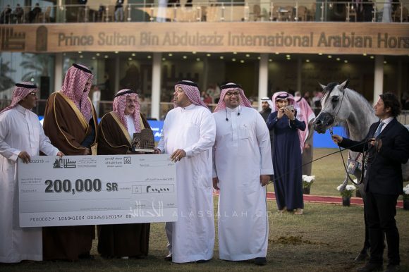  سلطان العناية (اميرالد جي x امونة) مربط العناية – السعودية.
