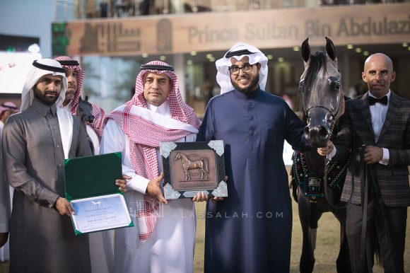  ماهر السيد (الكساندر x ميرا السيد) مربط السيد – السعودية.
