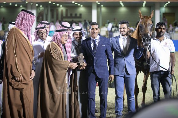  تهاني الخالد  (ماغنم جولد  x ال سي تورنتا) مربط الخالد – السعودية. 
