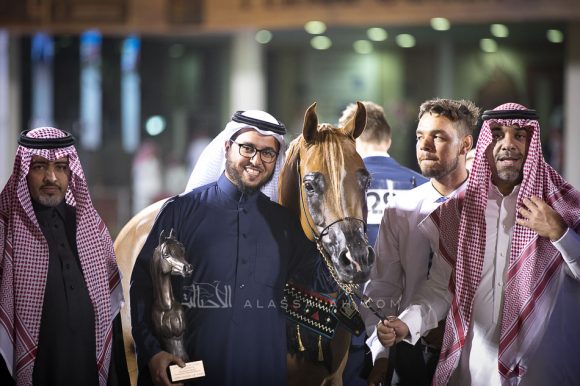  ديلايتس ديفا ار بي  (عجمان مونسيون  x هونيس ديلايت ار بي) مربط السيد – السعودية.
