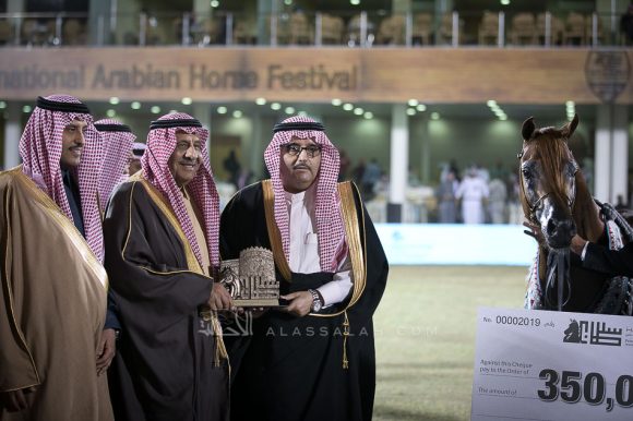  اسكوت دي دي (جلوريس ابال x لادي مينا دي دي) مربط عذبه – السعودية.
