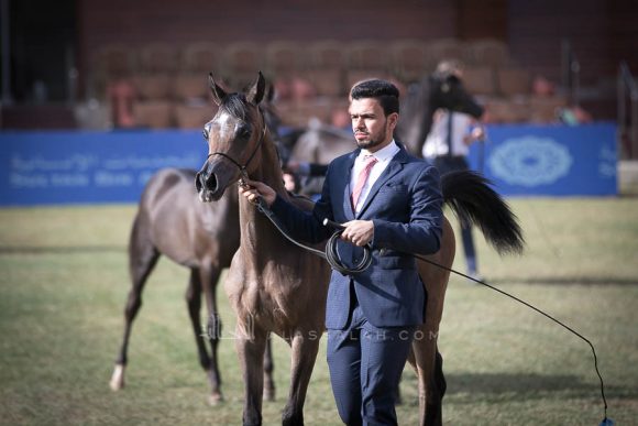 الأمير سلطان الخالديةISSS2480