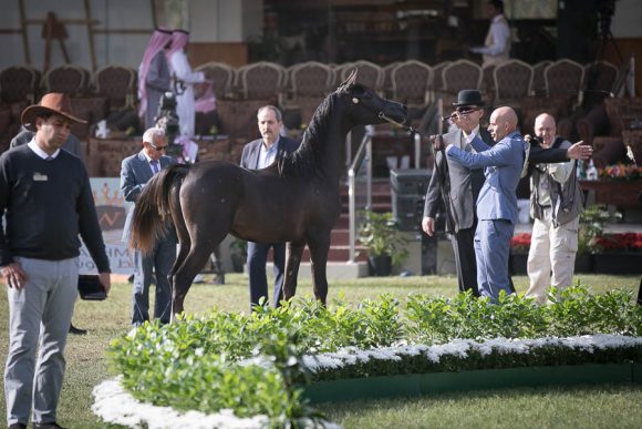 الأمير سلطان الخالديةISSS2515