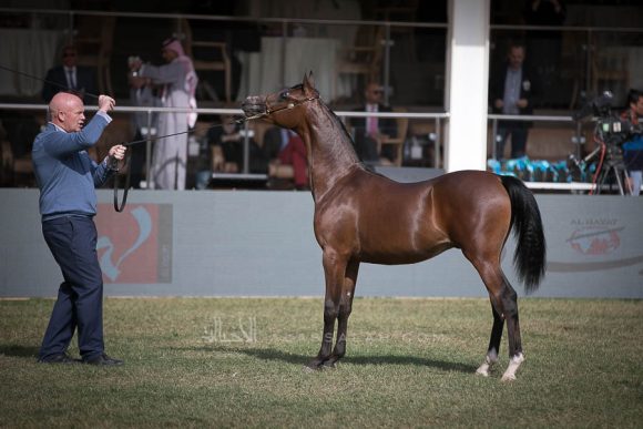 الأمير سلطان الخالديةISSS2536