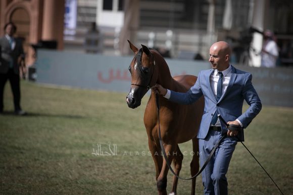 الأمير سلطان الخالديةISSS2594