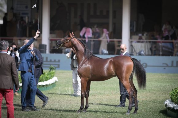 الأمير سلطان الخالديةISSS2661