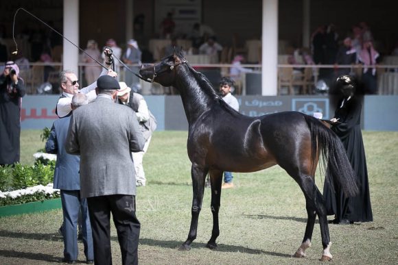 الأمير سلطان الخالديةISSS2691
