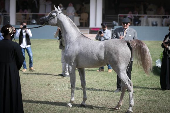 الأمير سلطان الخالديةISSS2697