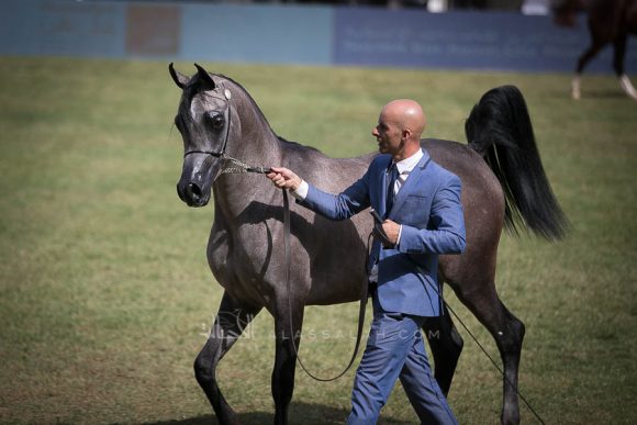 الأمير سلطان الخالديةISSS2720