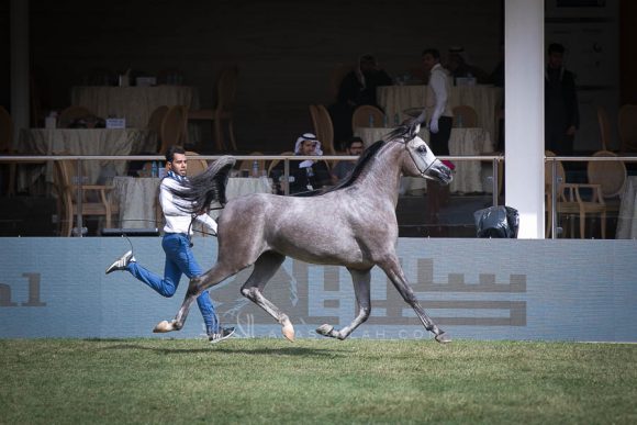 الأمير سلطان الخالديةISSS2725