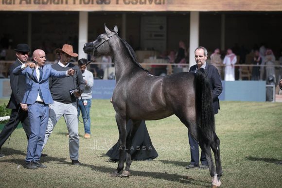 الأمير سلطان الخالديةISSS2732