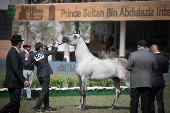 الأمير سلطان الخالديةISSS2740