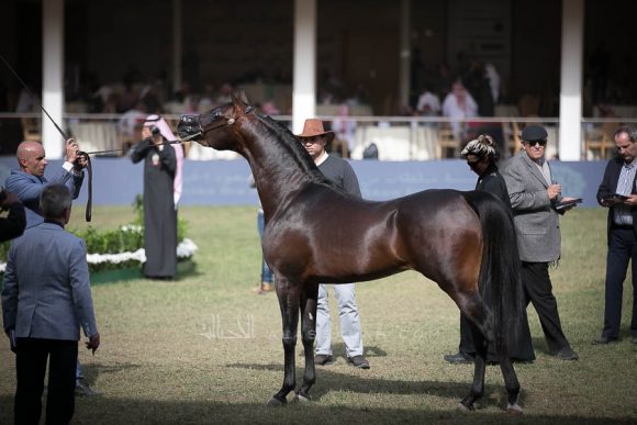 الأمير سلطان الخالديةISSS2792