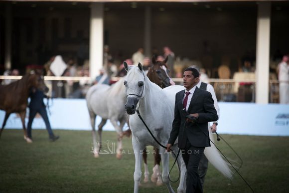 الأمير سلطان الخالديةISSS2936