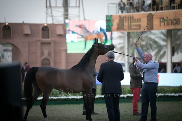 الأمير سلطان الخالديةISSS2938