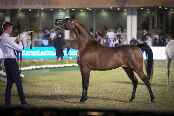 الأمير سلطان الخالديةISSS2985