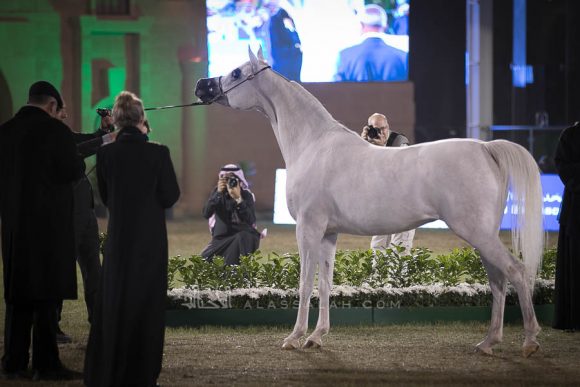الأمير سلطان الخالديةISSS2990