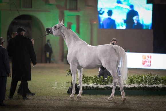 الأمير سلطان الخالديةISSS2994