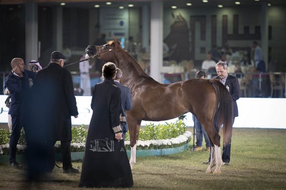 الأمير سلطان الخالديةISSS2997