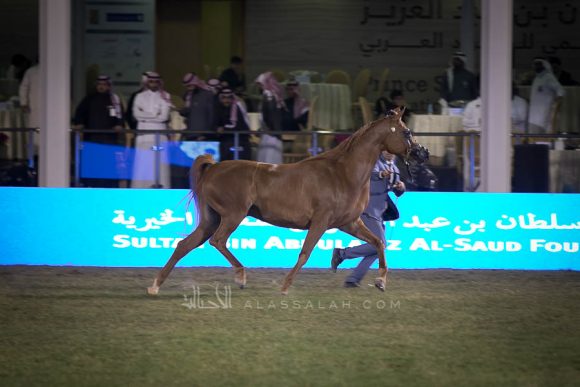 الأمير سلطان الخالديةISSS2998