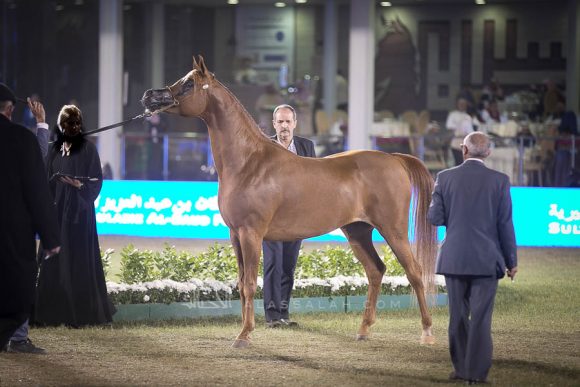 الأمير سلطان الخالديةISSS3000