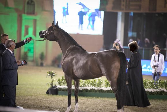 الأمير سلطان الخالديةISSS3011