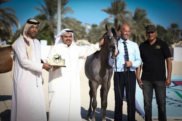 تتويج مهرة الصقران