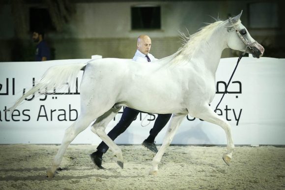 من المنافسات