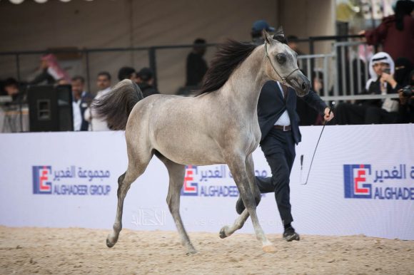 ISSS4363الشرقية