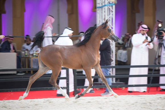 ISSS4375الشرقية