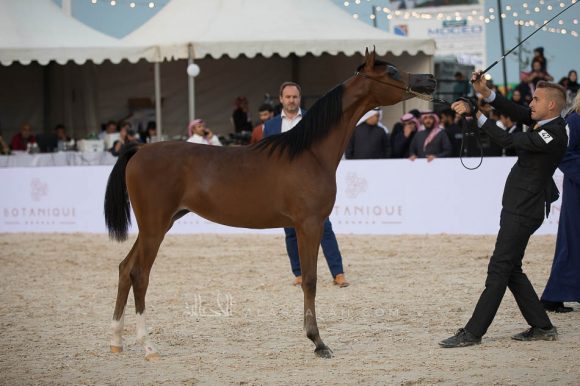 ISSS4386الشرقية