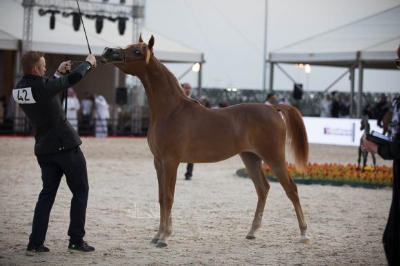 ISSS4396الشرقية