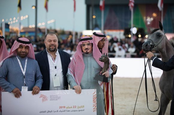 هلالة الخالدية (باندريوس x هالة الخالدية الثالثة) إسطبلات الخالدية– السعودية