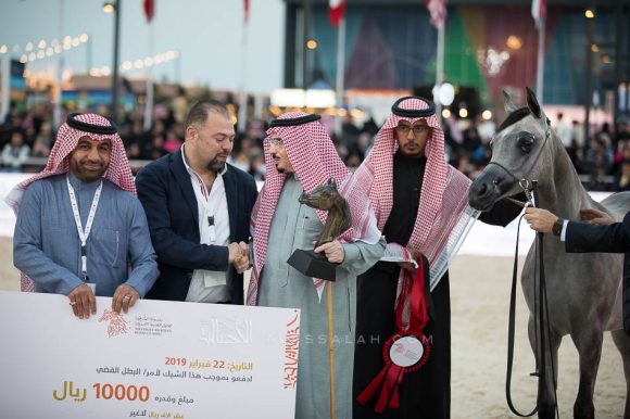 هلالة الخالدية (باندريوس x هالة الخالدية الثالثة) إسطبلات الخالدية– السعودية