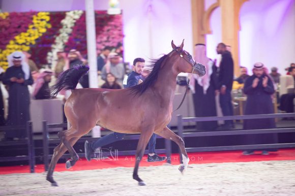 ISSS4439الشرقية