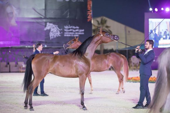 ISSS4453الشرقية