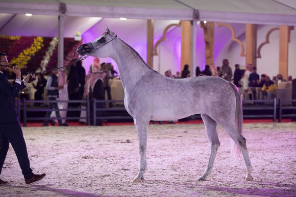 ISSS4476الشرقية