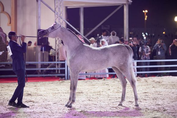 ISSS4478الشرقية