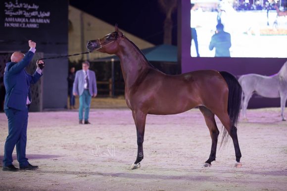 ISSS4516الشرقية