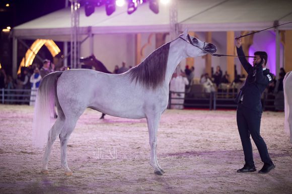 ISSS4522الشرقية