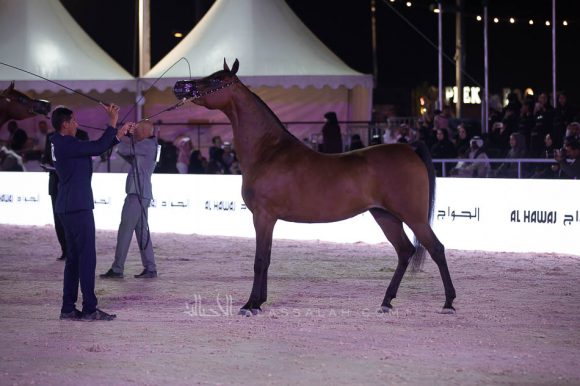 ISSS4523الشرقية