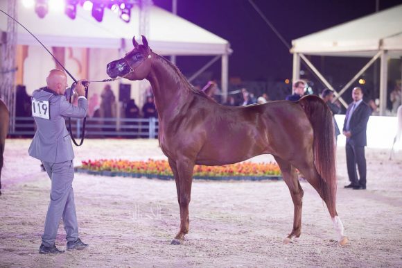 ISSS4535الشرقية