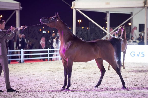 ISSS4540الشرقية