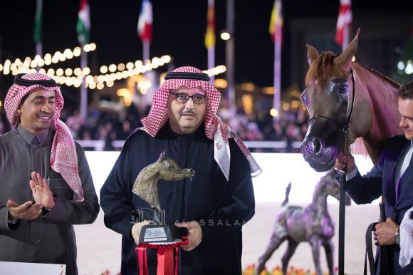 ترفة عذبه ( ايه كي اس اليهاندروx  ارمينا) مربط عذبه– السعودية